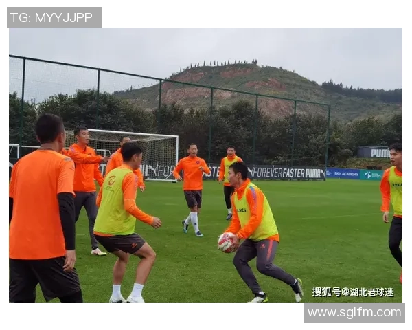 武汉足球队在联赛积分榜上以86分稳居第一名展现强劲实力